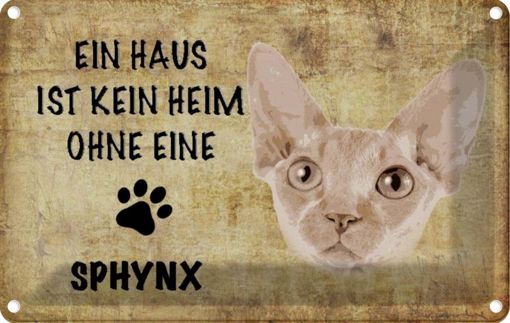 [LA-112716-2030] Blechschild 20x30 cm Sphynx Katze ohne kein Heim Straßenschild