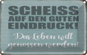 Blechschild 20x30 cm Scheiss guten Eindruck Spruch Zitat