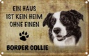 Blechschild 20x30 cm Border Collie Hund Tier Haustier