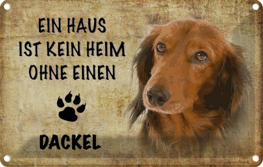 [LA-112774-2030] Blechschild 20x30 cm Dackel Hund ohne kein Heim Tier Haustier