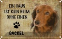 Blechschild 20x30 cm Dackel Hund ohne kein Heim Tier Haustier