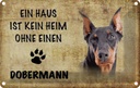 Blechschild 20x30 cm Doberman Hund ohne kein Heim Tier Haustier