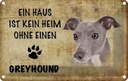 Blechschild 20x30 cm Greyhound Hund ohne kein Heim Tier Haustier