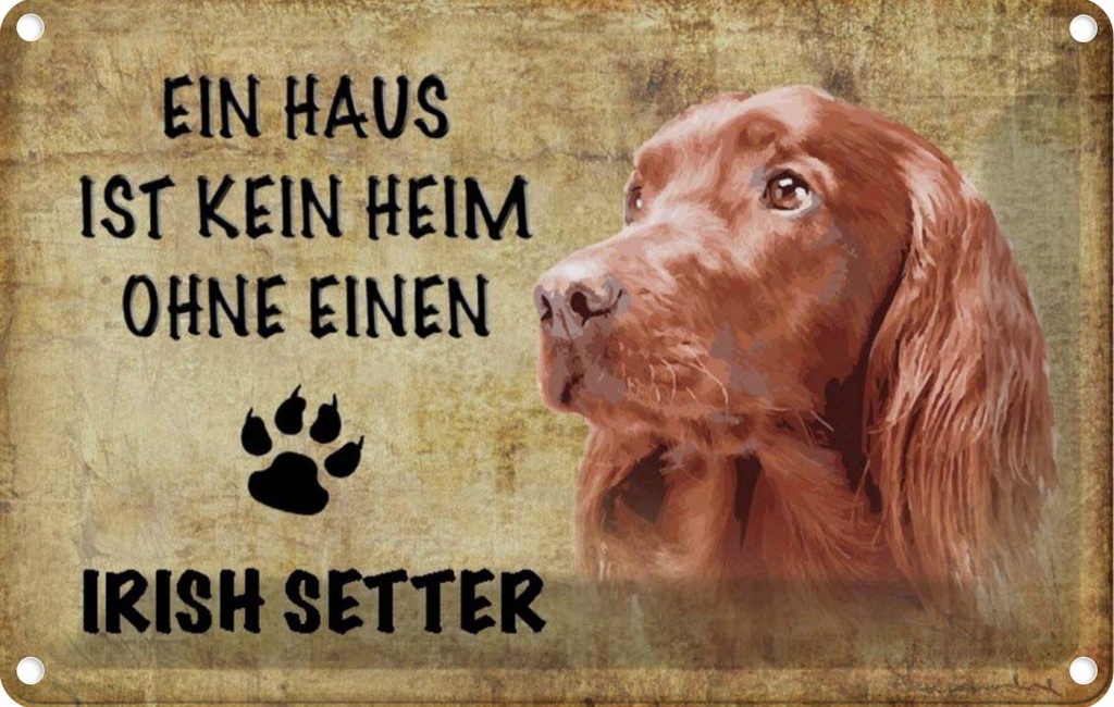 [LA-112780-2030] Blechschild 20x30 cm Irish Setter Hund Tier Haustier