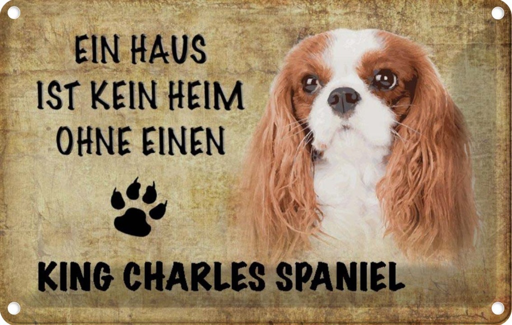 [LA-112781-2030] Blechschild 20x30 cm King Charles Spaniel Hund Tier Haustier