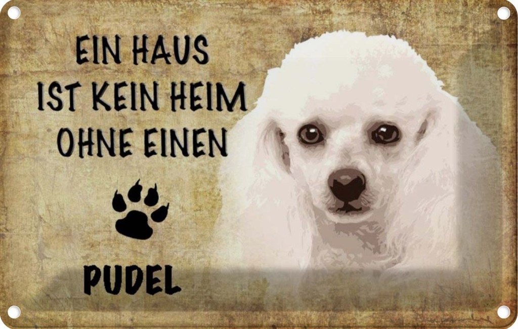 [LA-112786-2030] Blechschild 20x30 cm Pudel Hund Tier Haustier