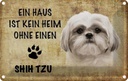 Blechschild 20x30 cm Shih Tzu Hund Tier Haustier