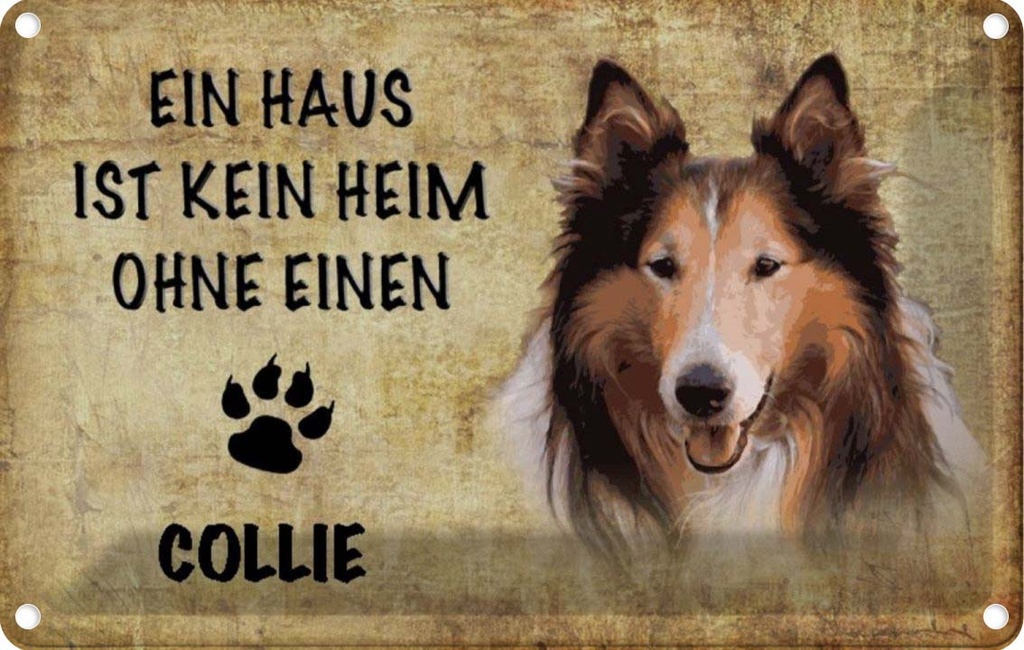 [LA-112801-2030] Blechschild 20x30 cm Collie Hund Tier Haustier