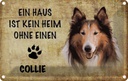 Blechschild 20x30 cm Collie Hund Tier Haustier
