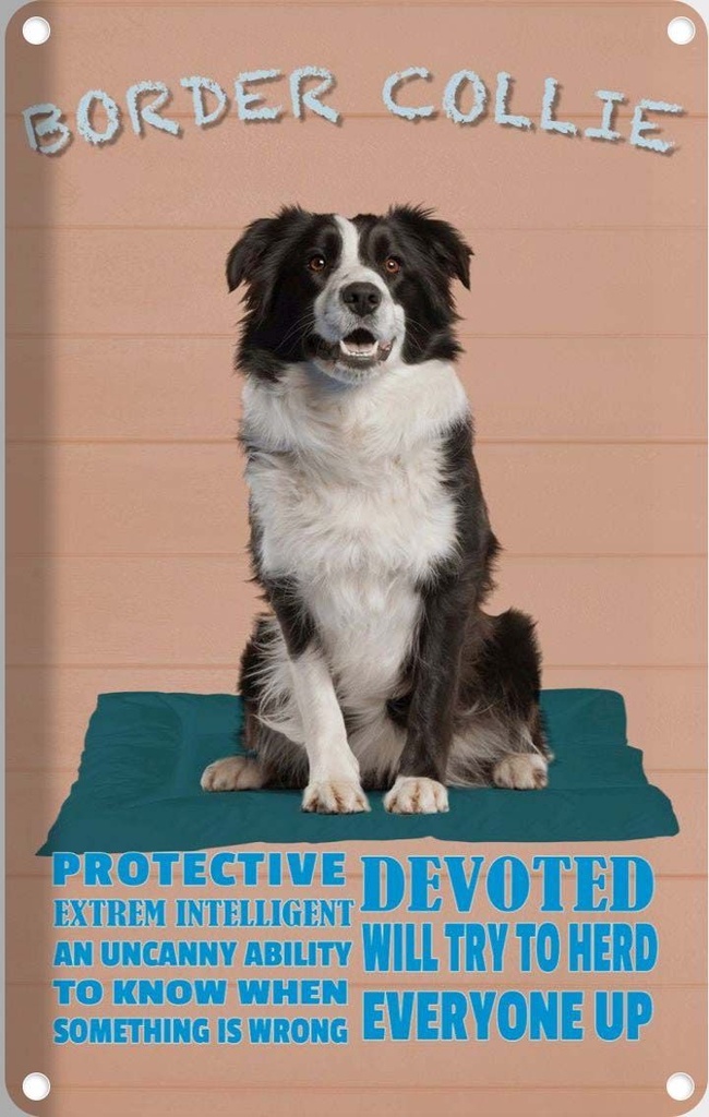 [LA-112640-1812] Blechschild 18x12 cm Border Collie Hund protective Tier Haustier