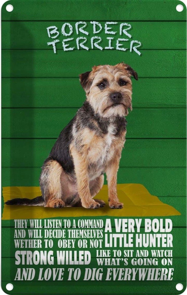 [LA-112648-1812] Blechschild 18x12 cm Border Terrier Hund a very bold