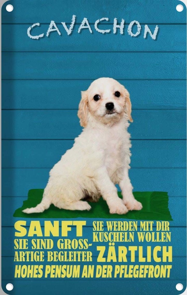 [LA-112653-1812] Blechschild 18x12 cm Cavachon Hund sanft zärtlich Tier Haustier