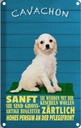 Blechschild 18x12 cm Cavachon Hund sanft zärtlich Tier Haustier