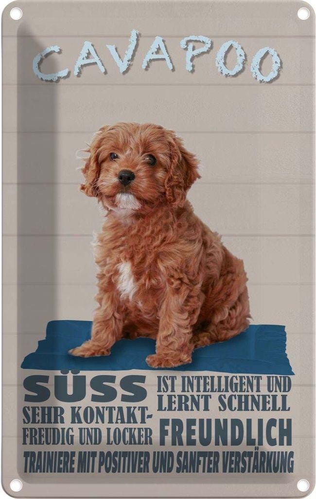 [LA-112654-1812] Blechschild 18x12 cm Cavapoo Hund süss freundlich Tier Haustier