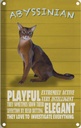 Blechschild 18x12 cm Abyssinian Katze playful elegant