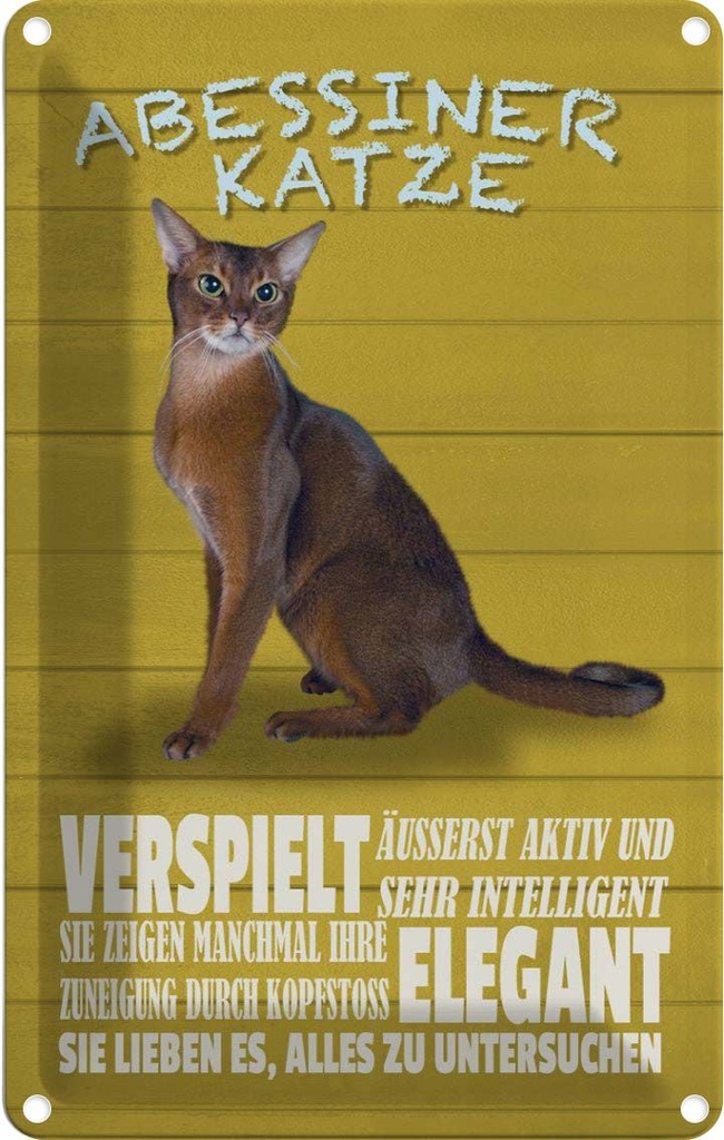 [LA-112669-1812] Blechschild 18x12 cm Abyssinian Katze verspielt Tier Haustier