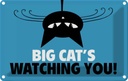 Blechschild 12x18 cm Big cat`s watching you Katze Tier Haustier