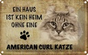 Blechschild 12x18 cm American Curl Katze Tier Haustier