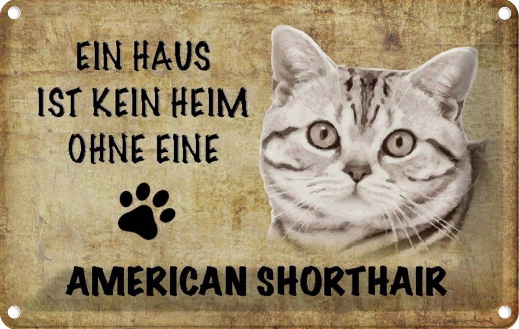 [LA-112684-1812] Blechschild 12x18 cm American Shorthair Katze Tier Haustier