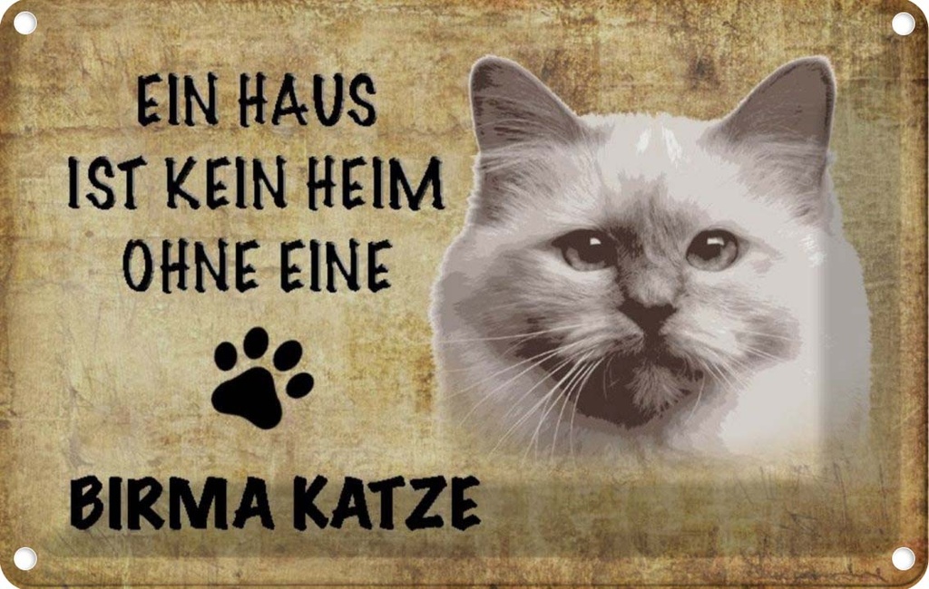[LA-112687-1812] Blechschild 12x18 cm Birma Katze ohne kein Heim Tier Haustier