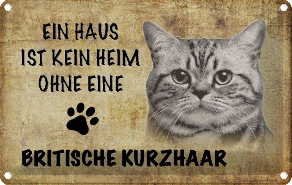 [LA-112690-1812] Blechschild 12x18 cm Britische Kurzhaar Katze Tier Haustier