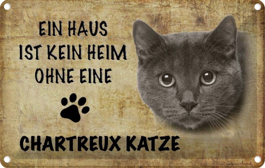 [LA-112692-1812] Blechschild 12x18 cm Chartreux Katze Tier Haustier