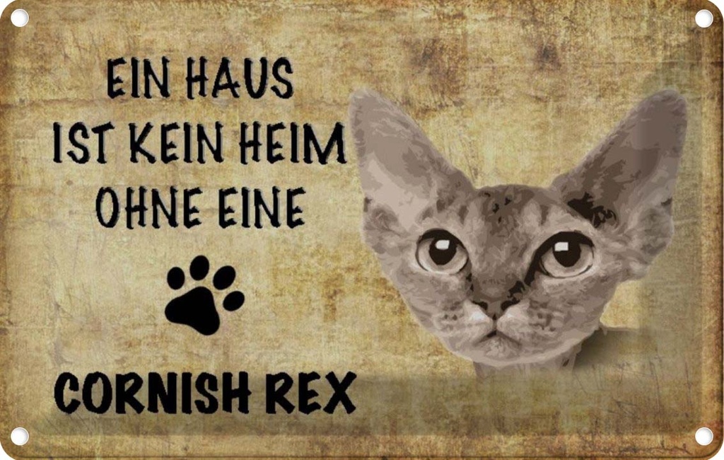 [LA-112694-1812] Blechschild 12x18 cm Cornish Rex Katze Tier Haustier