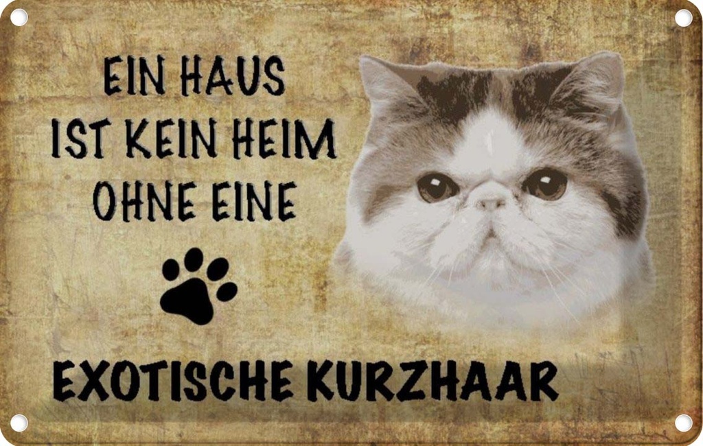 [LA-112698-1812] Blechschild 12x18 cm exotische Kurzhaar Katze Tier Haustier