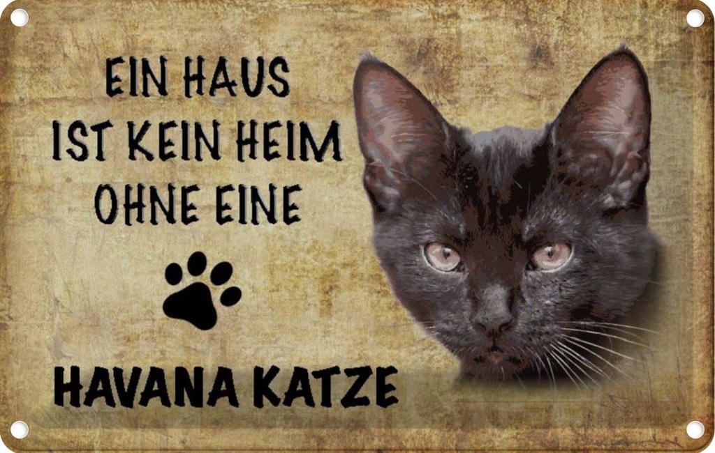 [LA-112699-1812] Blechschild 12x18 cm Havana Katze ohne kein Heim Tier Haustier
