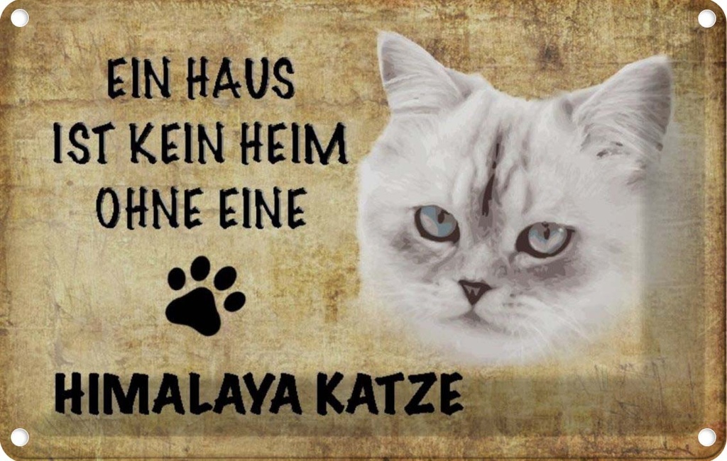 [LA-112700-1812] Blechschild 12x18 cm Himalaya Katze ohne kein Heim Tier Haustier