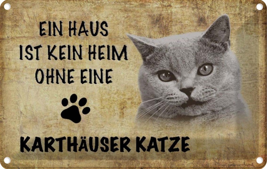 [LA-112701-1812] Blechschild 12x18 cm Karthäuser Katze ohne kein Heim Tier Haustier