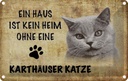 Blechschild 12x18 cm Karthäuser Katze ohne kein Heim Tier Haustier