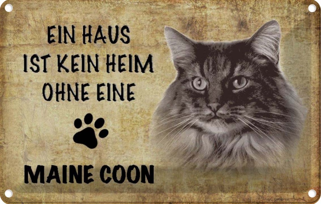 [LA-112702-1812] Blechschild 12x18 cm Maine Coon Katze ohne kein Heim Tier Haustier