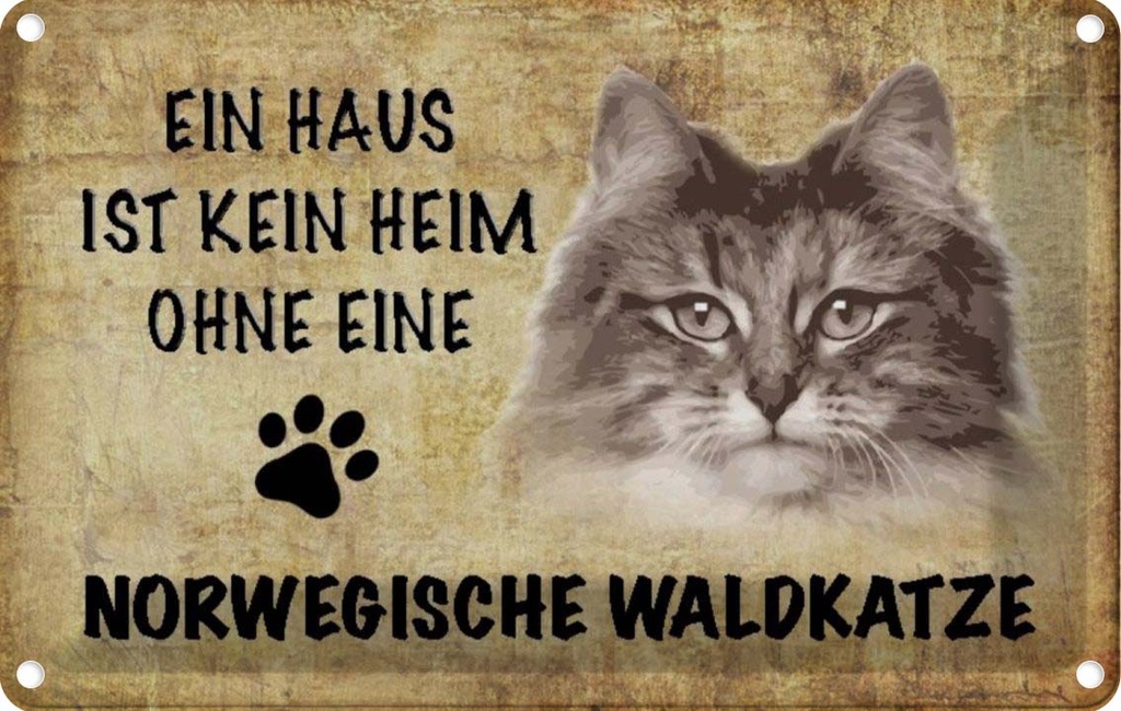 [LA-112704-1812] Blechschild 12x18 cm Norvegische Waldkatze Katze Tier Haustier