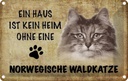 Blechschild 12x18 cm Norvegische Waldkatze Katze Tier Haustier