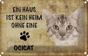Blechschild 12x18 cm Ocicat Katze ohne kein Heim Tier Haustier