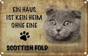 Blechschild 12x18 cm Scottish Fold Katze Tier Haustier