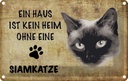 Blechschild 12x18 cm Siamkatze Katze ohne kein Heim Tier Haustier