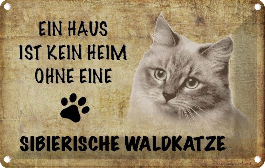 [LA-112713-1812] Blechschild 12x18 cm sibierische Waldkatze Katze Tier Haustier