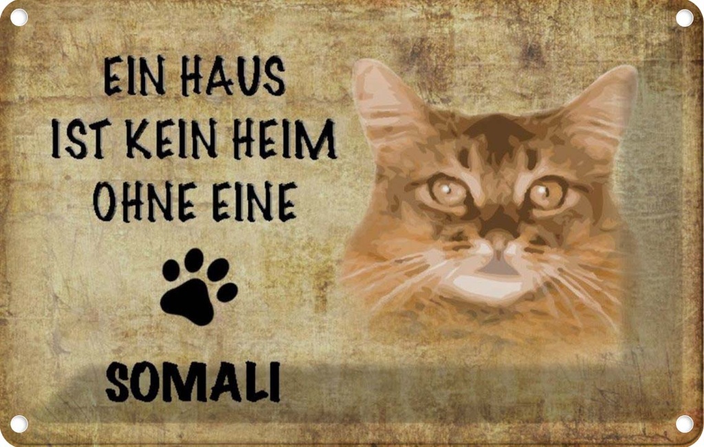 [LA-112715-1812] Blechschild 12x18 cm Somali Katze ohne kein Heim Tier Haustier