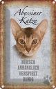 Blechschild 18x12 cm Abyssiner Katze hübsch verspielt