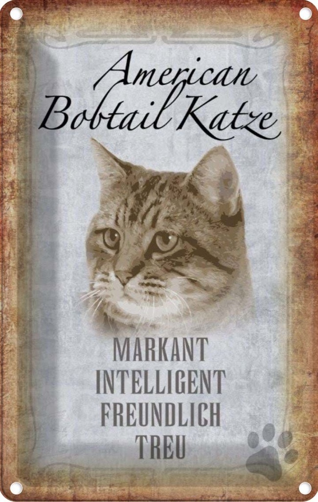[LA-112722-1812] Blechschild 18x12 cm American Bobtail Katze