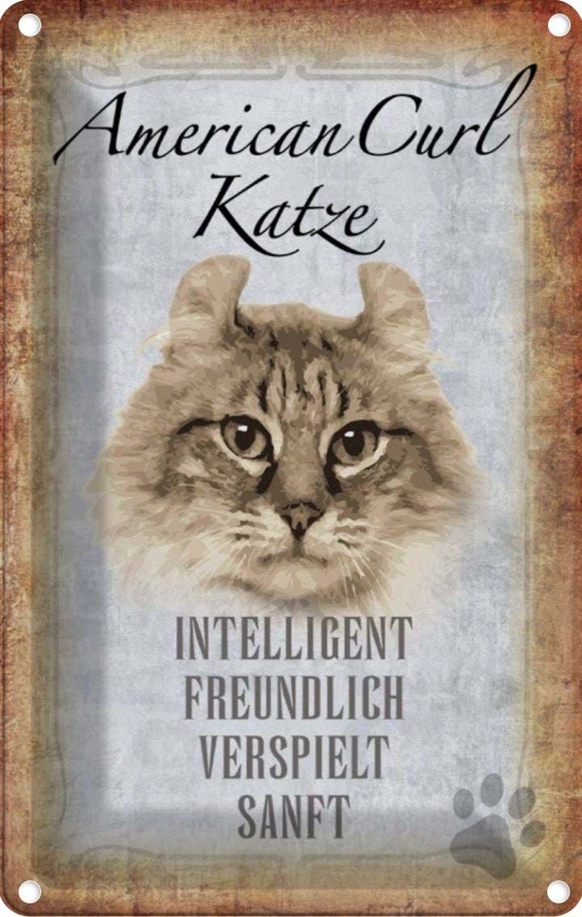 [LA-112723-1812] Blechschild 18x12 cm American Curl Katze Tier Haustier