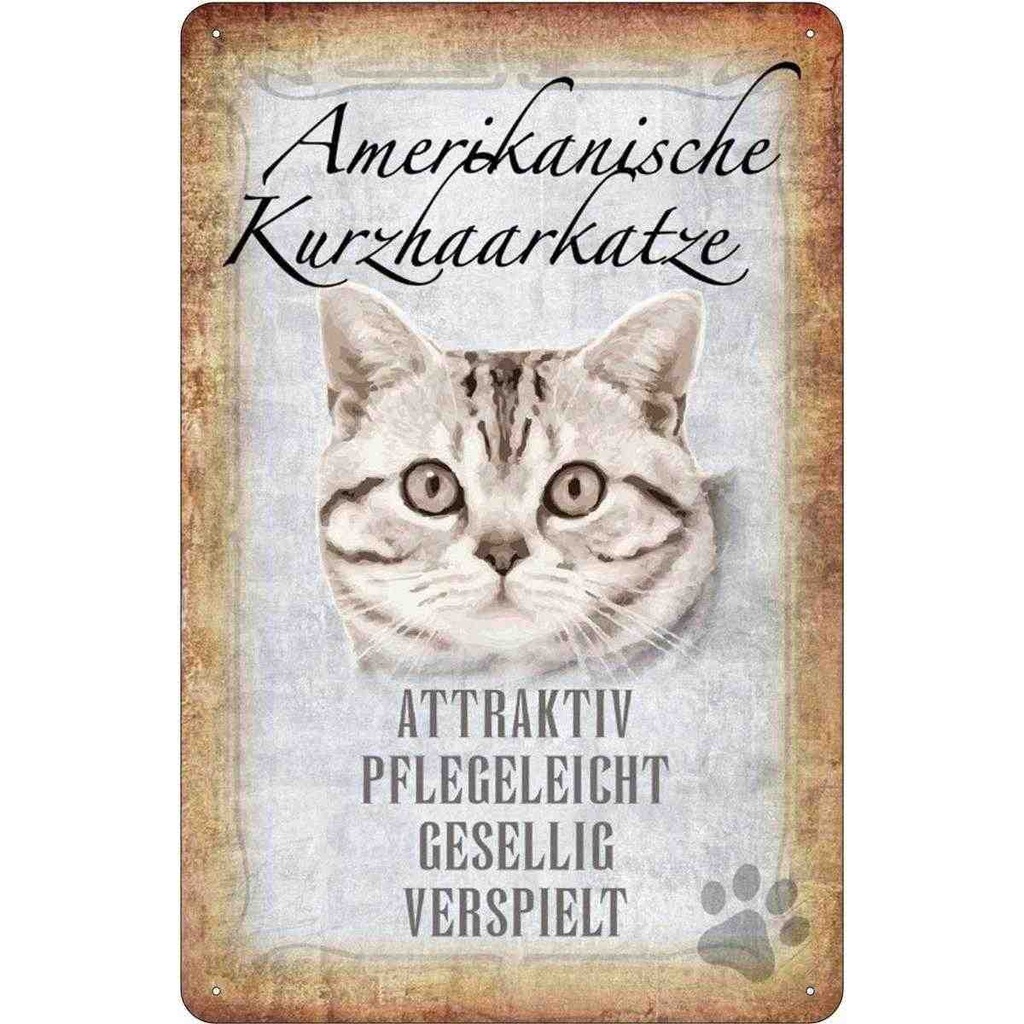 [LA-112724-1812] Blechschild 18x12 cm Americanische Katze Kurzhaar Tier Haustier