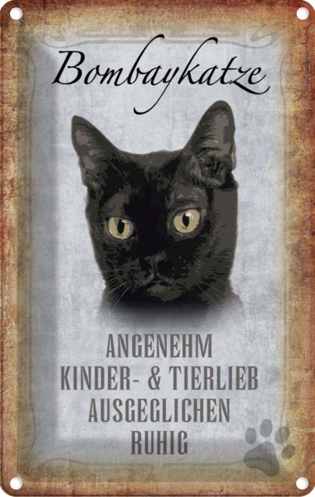 [LA-112728-1812] Blechschild 18x12 cm Bombaykatze Katze