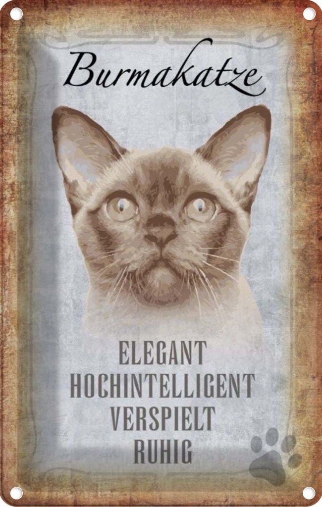 [LA-112731-1812] Blechschild 18x12 cm Burmakatze Katze Tier Haustier