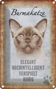 Blechschild 18x12 cm Burmakatze Katze Tier Haustier