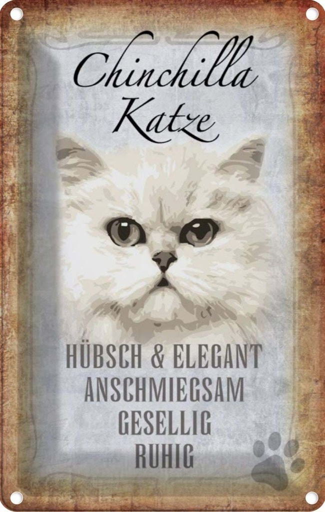 [LA-112733-1812] Blechschild 18x12 cm Chinchilla Katze hübsch elegant Tier Haustier