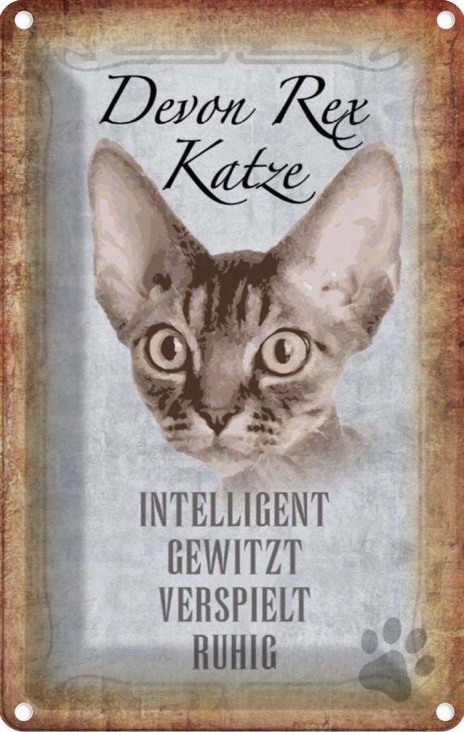 [LA-112735-1812] Blechschild 18x12 cm Devon Rex Katze intelligent Tier Haustier