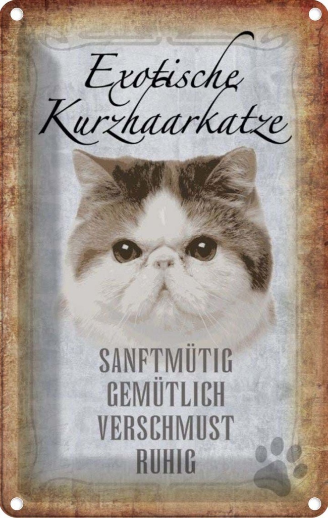 [LA-112737-1812] Blechschild 18x12 cm exotische Kurzhaarkatze Katze Tier Haustier